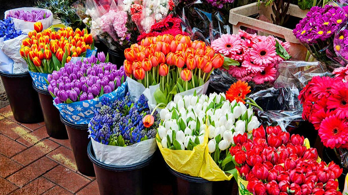 Где Можно Купить Красивые Цветы